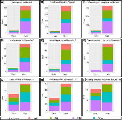Placental Abnormalities are Associated With Specific Windows of Embryo Culture in a Mouse Model
